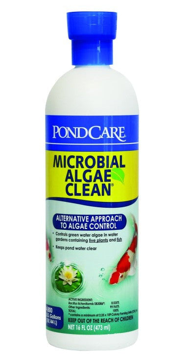 API Pond Microbial Algae Clean, 16 OZ