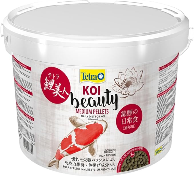 Tetra Koi Beauty Medium - 10L