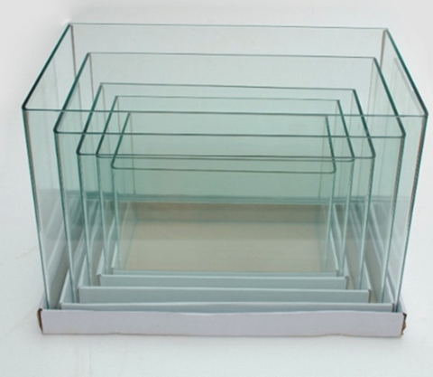 Aja curved glass tank (5 in 1)