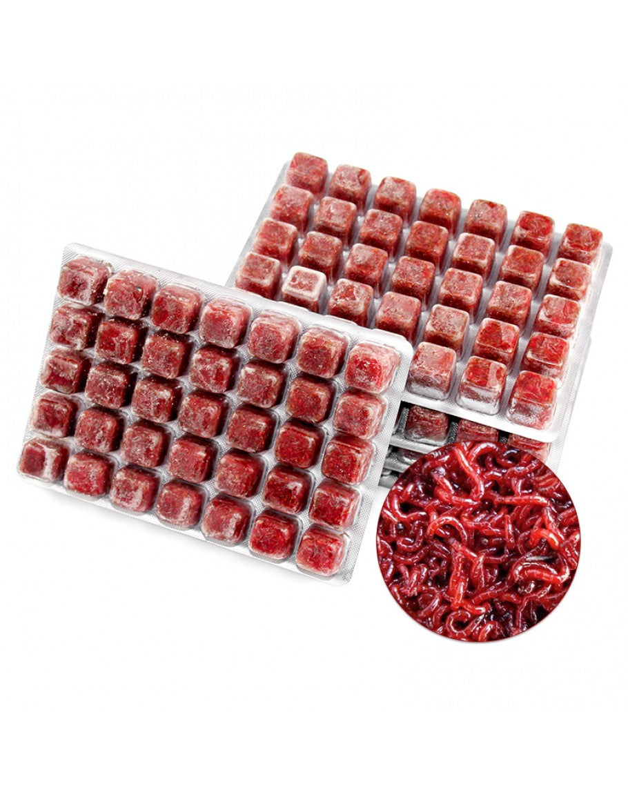 Fuji Frozen Red Worm - 100 g