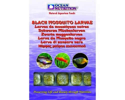 Ocean Nutrition Black Mosquito Larvae Frozen Food - 100gm