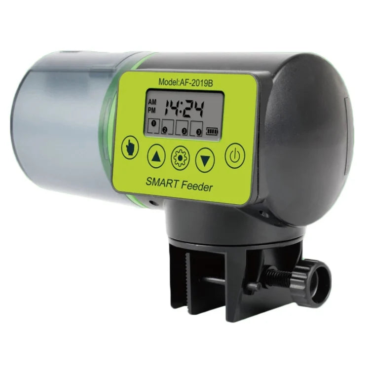 Aqua blue auto feeder