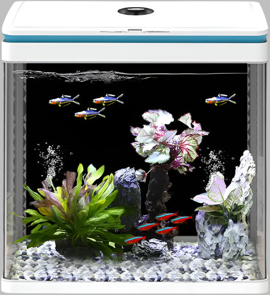 Sunsun Ecological Aquarium – Ajman Aquarium