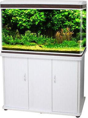 AJA D-model Aquarium