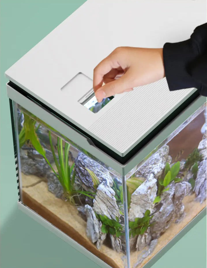 Desktop Small Fish Tank