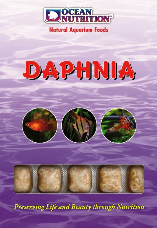 Daphnia