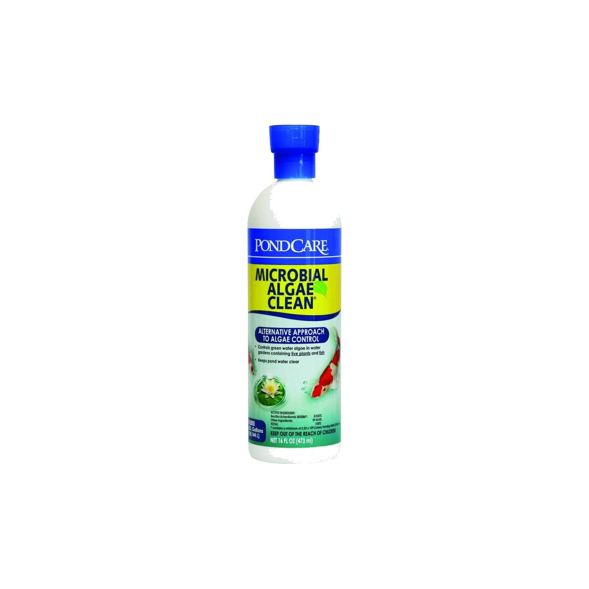 API Pond Microbial Algae Clean, 16 OZ on a clean white background
