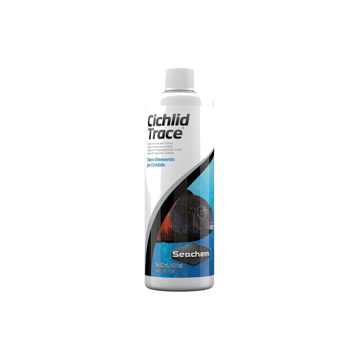Cichlid Trace on a clean white background