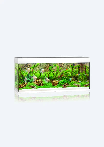 Juwel Aquarium Rio 240 Led