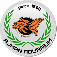 Ajman Aquarium