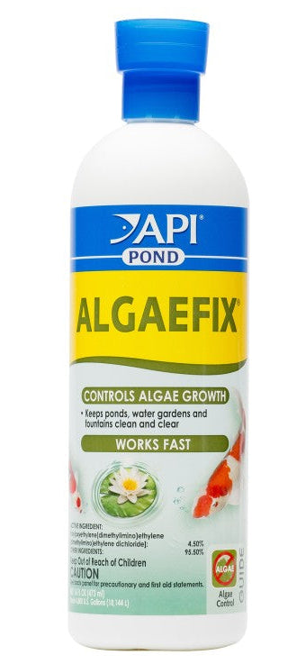 API POND ALGAEFIX, 16 OZ – Ajman Aquarium