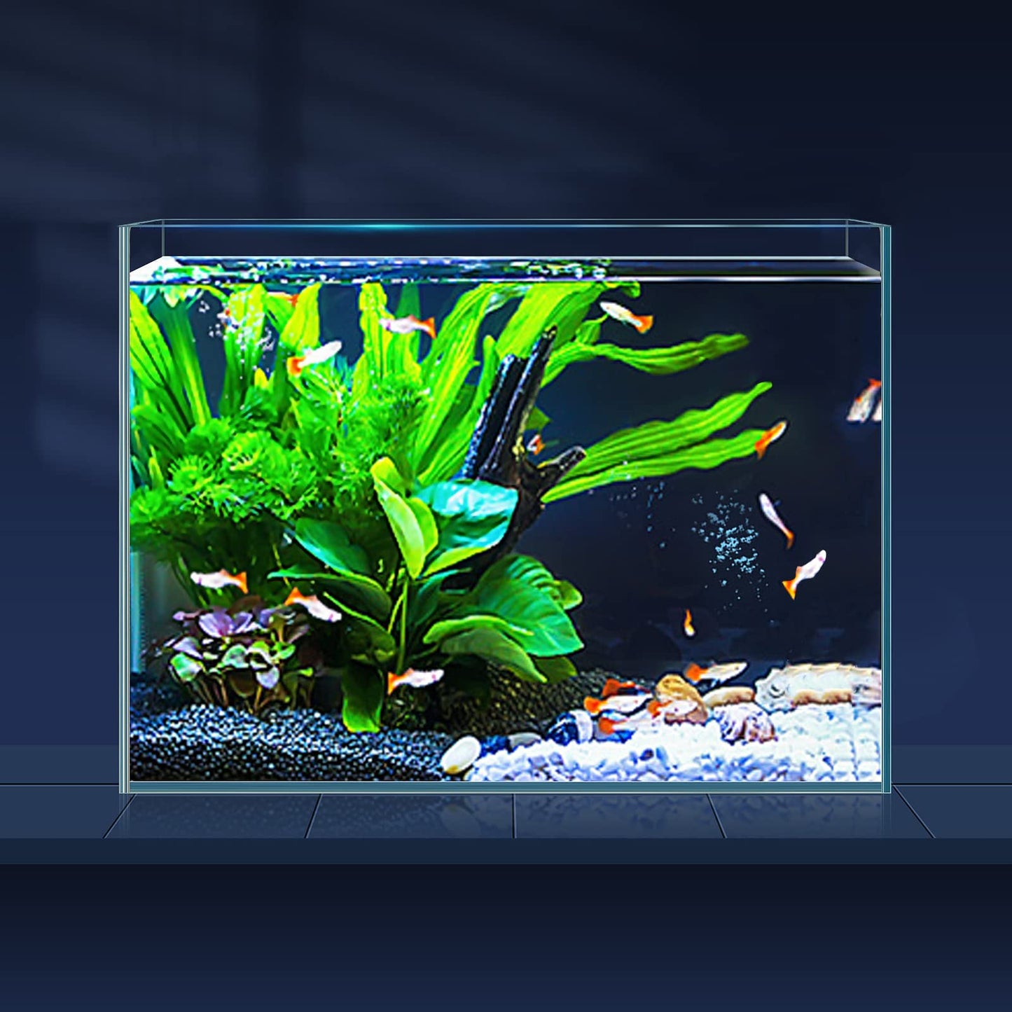 Aja Ultra Clear Fish Tank Rimless Glass (5 IN 1)