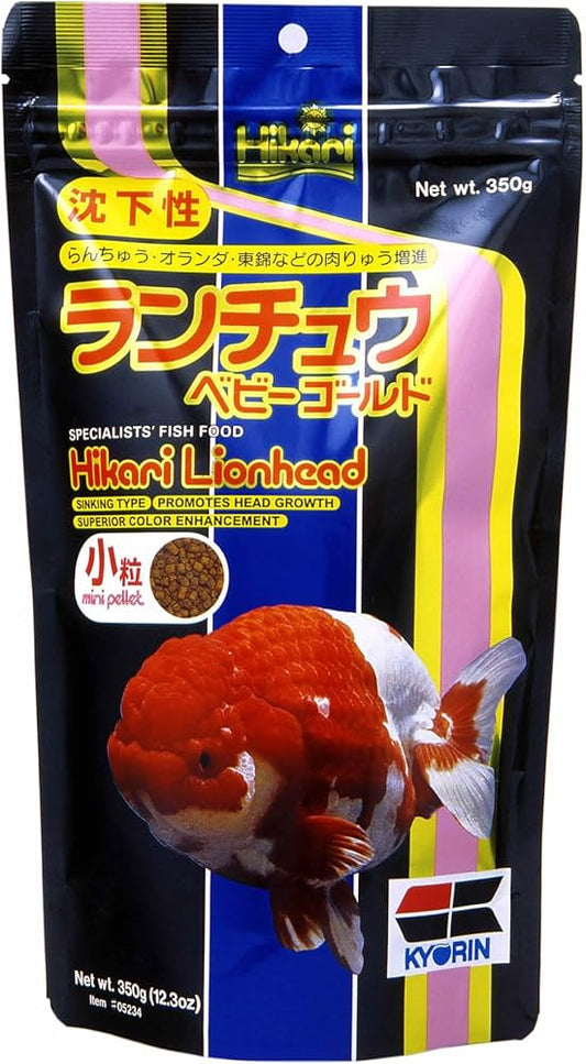Hikari lion head - 100g
