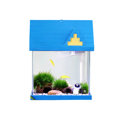 TF250 aquarium Hut Diary desktop fish tank