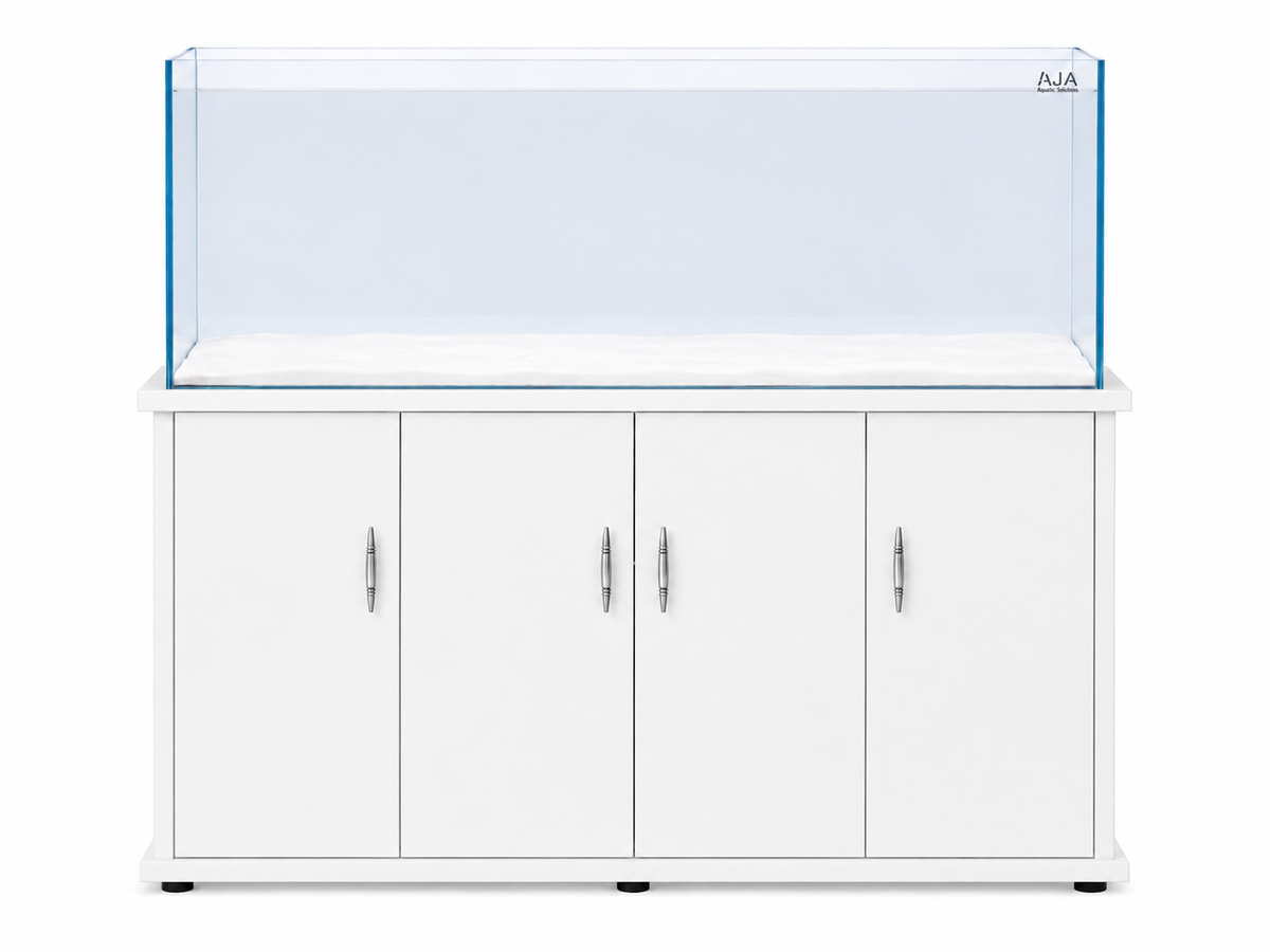 AJA CTY 150