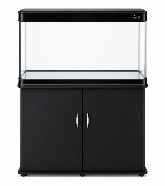 AJA D-Model 80
