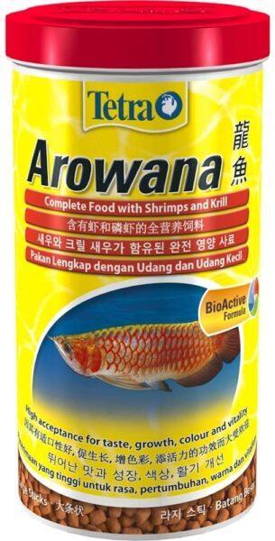 Tetra Arowana