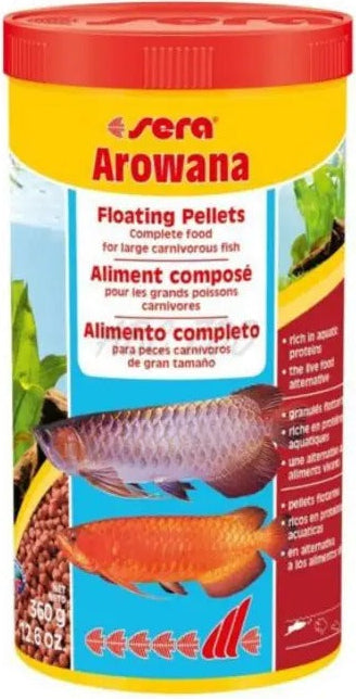 Sera Arowana