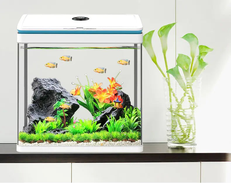 Sunsun Ecological Aquarium