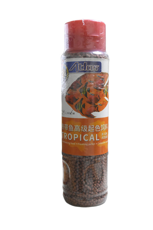 Atlas tropical fish