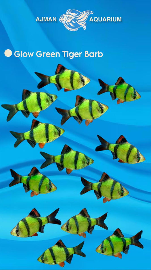 glow green tiger - regular size