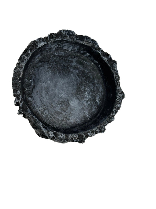fish food plate