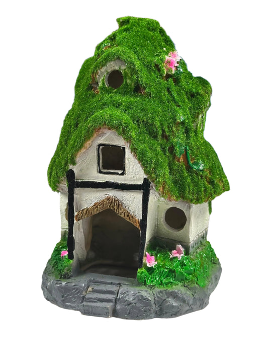 House decoration