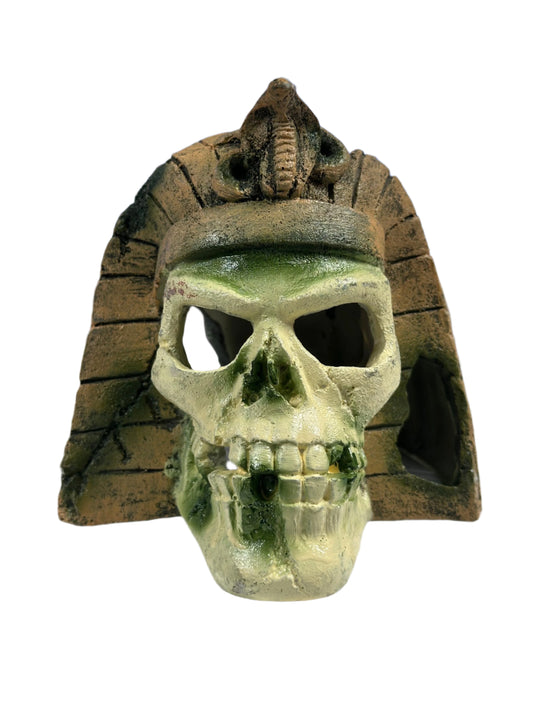 Skull Decoration