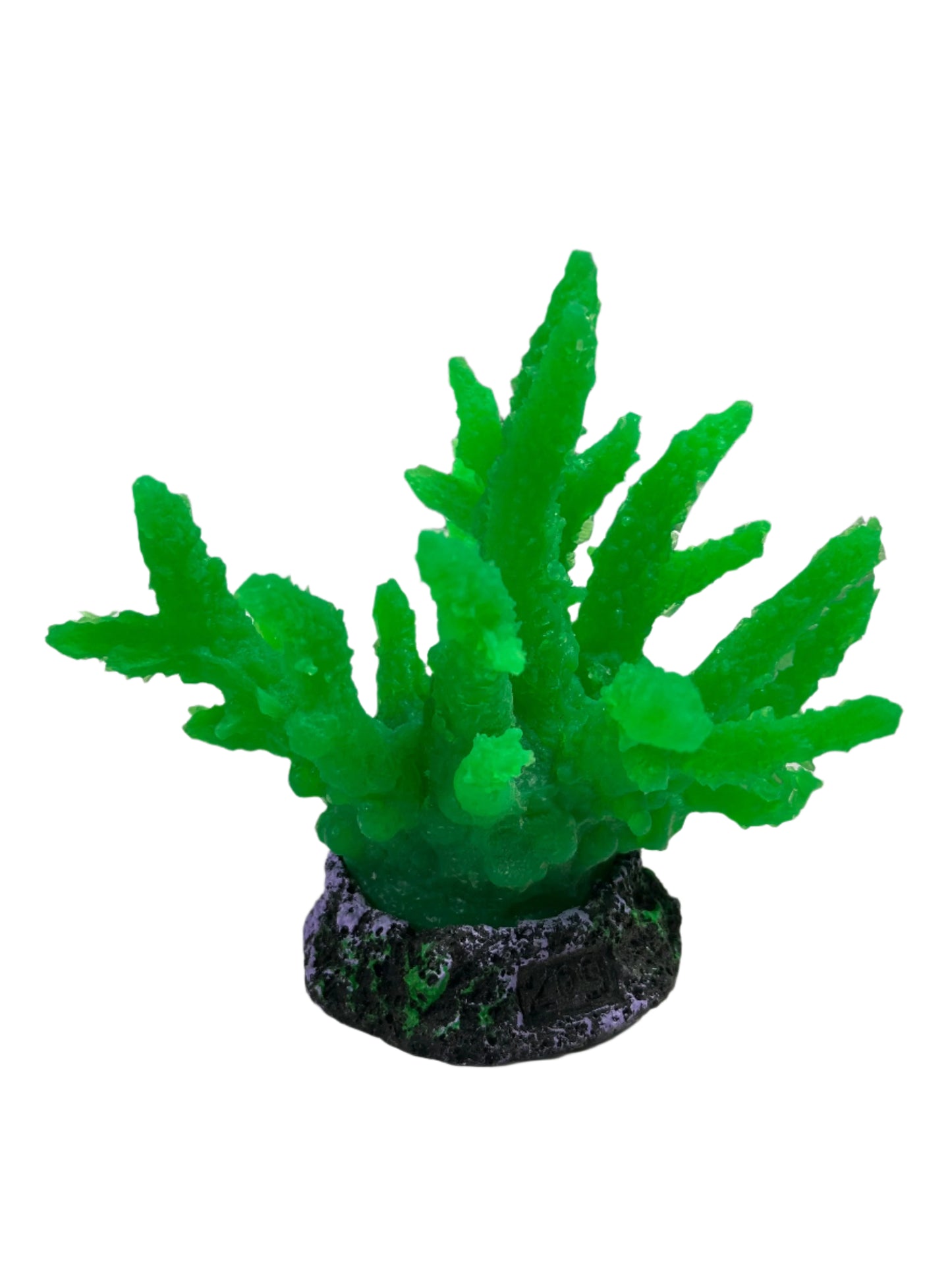 Glowing Decorative