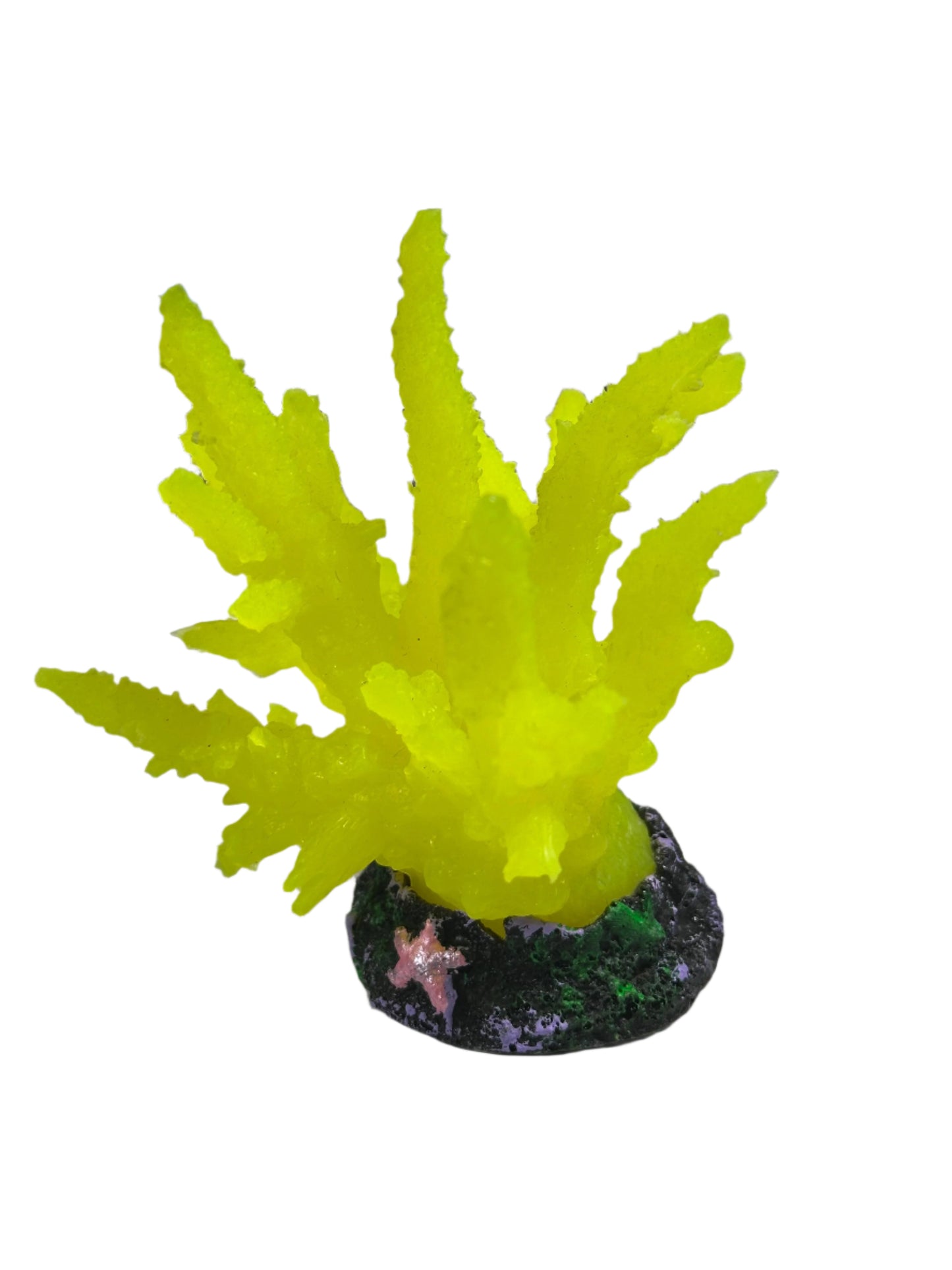Glowing Decorative