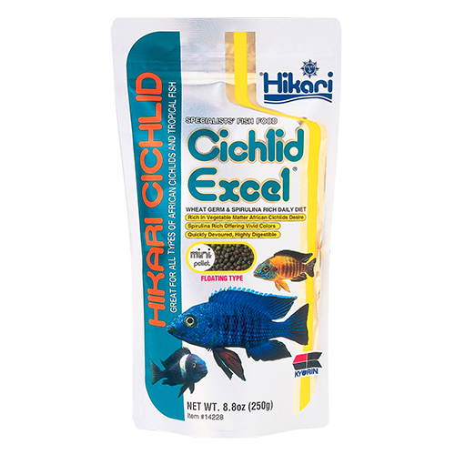 Hikari cichlid excel