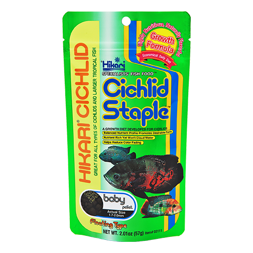 Hikari cichlid staple