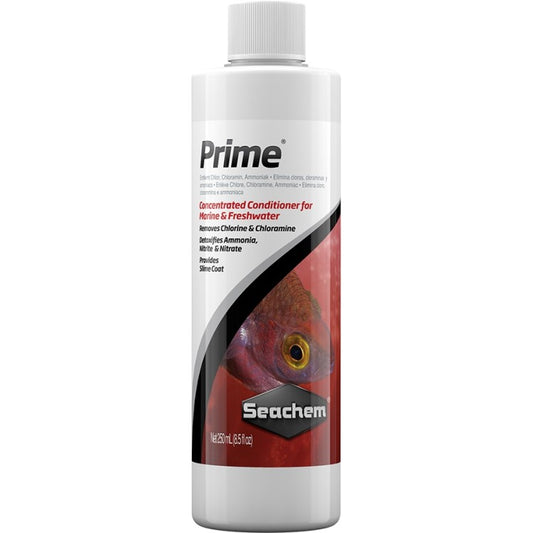 Prime