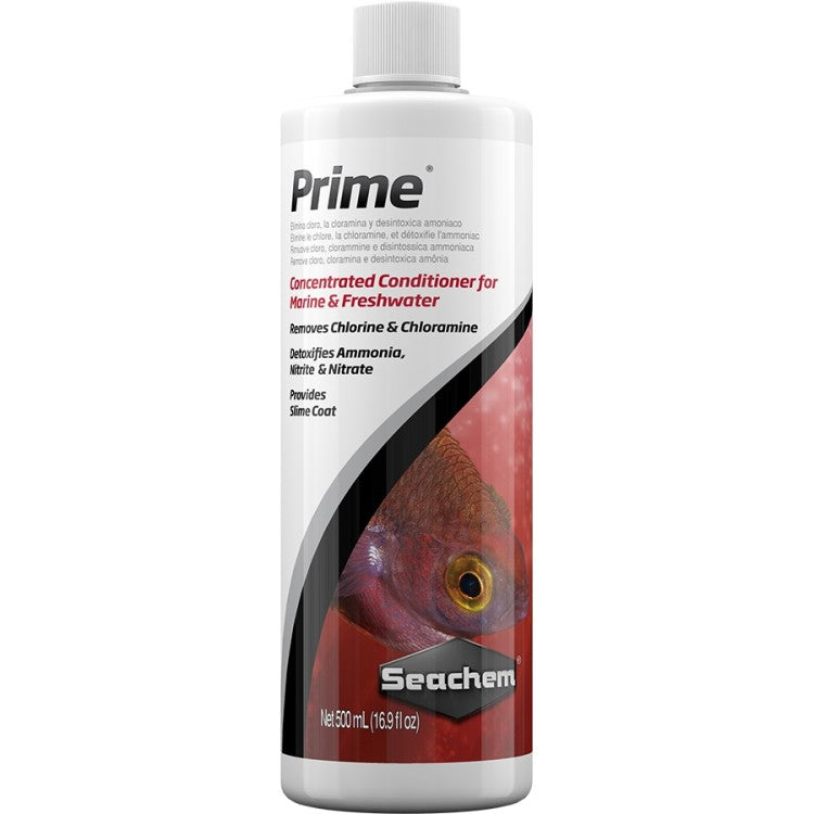 Prime