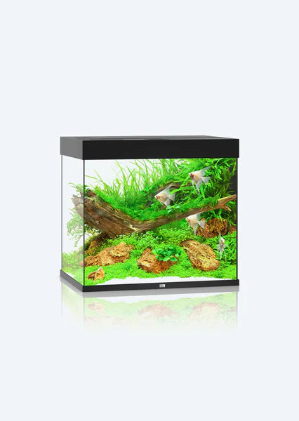 Juwel Aquarium Lido 120 LED