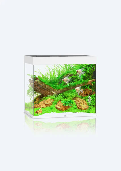 Juwel Aquarium Lido 120 LED