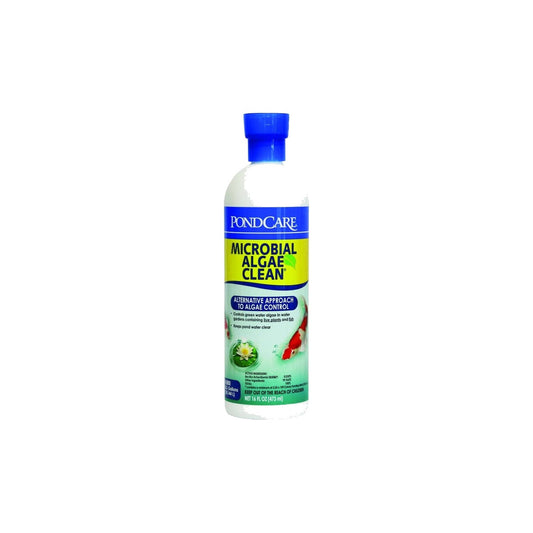 API Pond Microbial Algae Clean, 16 OZ on a clean white background