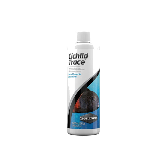Cichlid Trace on a clean white background