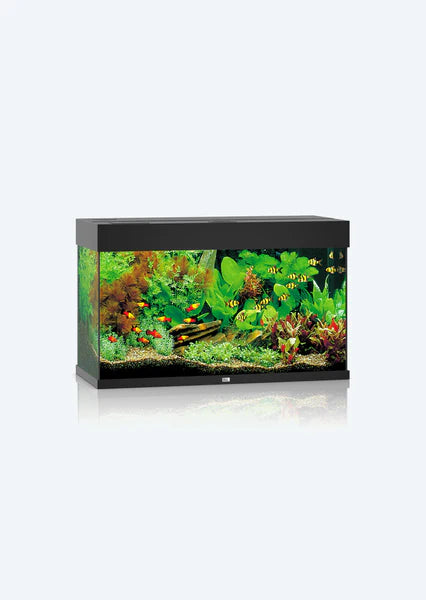 Juwel Aquarium Rio 125 Led