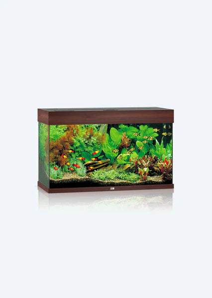 Juwel Aquarium Rio 125 Led