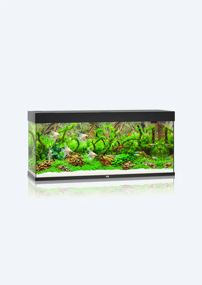Juwel Aquarium Rio 240 Led