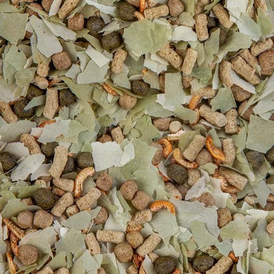 Sera Pond Mix Royal Nature