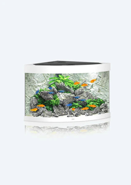 Juwel Aquarium Trigon 190 Led